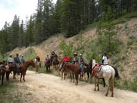 Gibbons Pass