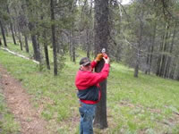 trail marker placement